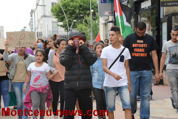 palestine manif 30071416