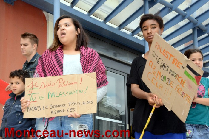palestine manif 3007142