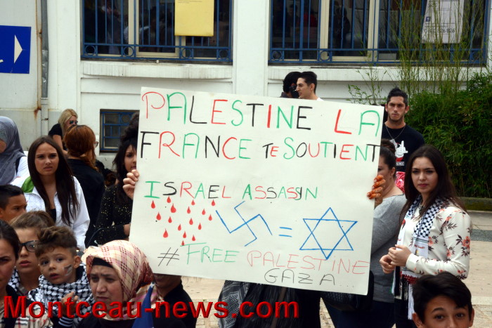palestine manif 3007144