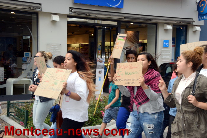 palestine manif 3007146