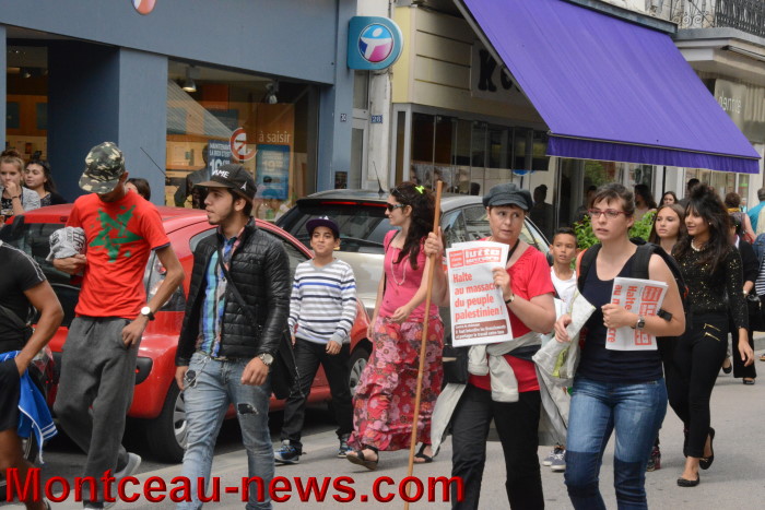 palestine manif 3007147