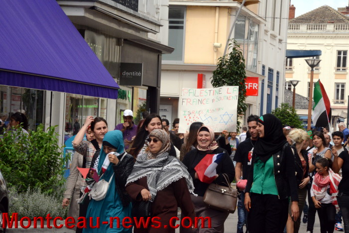palestine manif 3007148