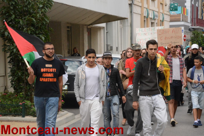 palestine manif 3007149