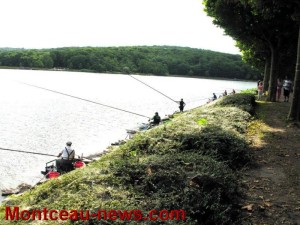 Gaule Montcellienne (Sport halieutique)