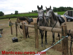 Fête de l&rsquo;agriculture (La Guiche)