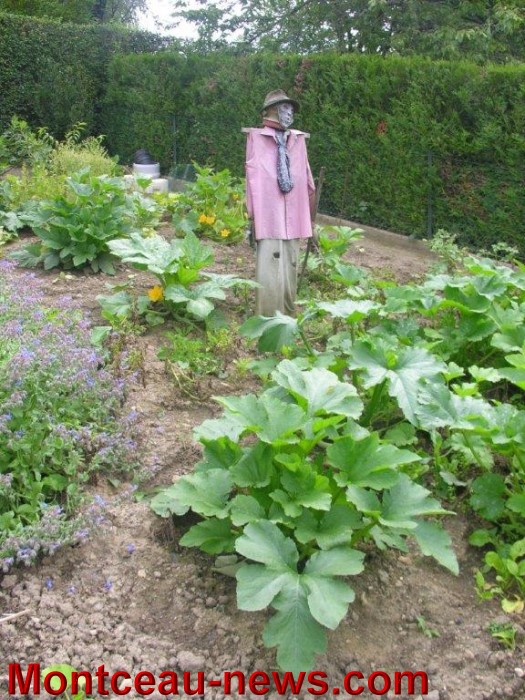 jardin aout 23081410