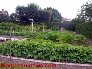 « Nos jardins à la mi-août ! »