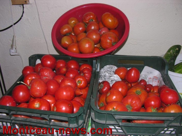 jardin aout 23081420