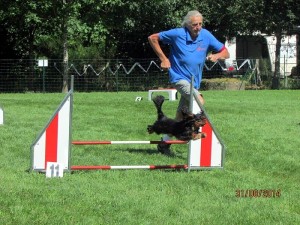 Club canin EAPS (Educ Agility Passion)  de Sanvignes