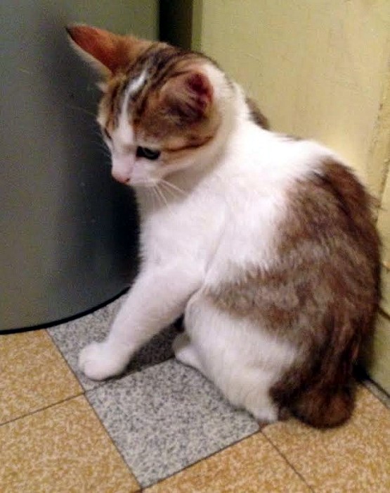 chat 06 09 14