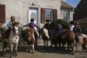 Centre Equestre du Chêne Vert (Saint-Eusèbe)