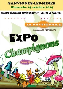Association « La Physiophile » (Bassin minier)
