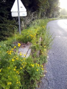 Levée du Canal (Bassin minier)