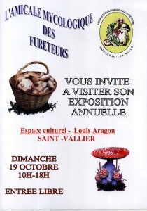Amicale mycologique des Fureteurs (Montceau-les-Mines)