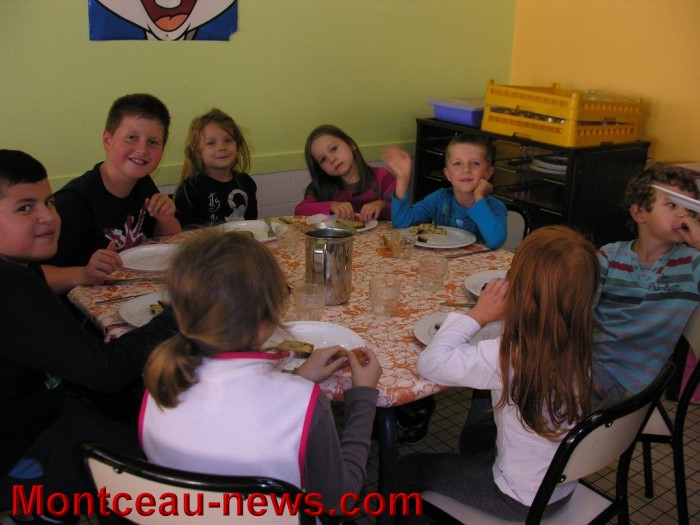 ecole oiseaux gout 1510147