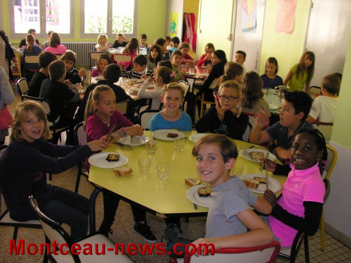 ecole oiseaux gout 1510148