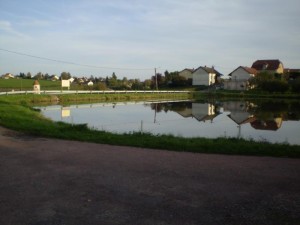 Etang du Bois Dernier à Saint-Bérain sous Sanvignes