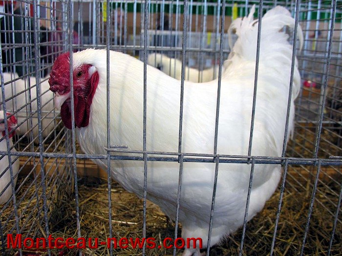 avic 08 11 1410