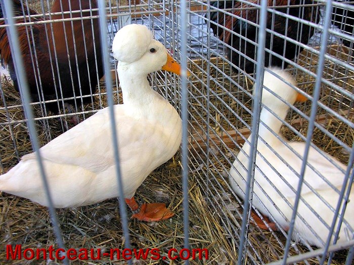 avic 08 11 143