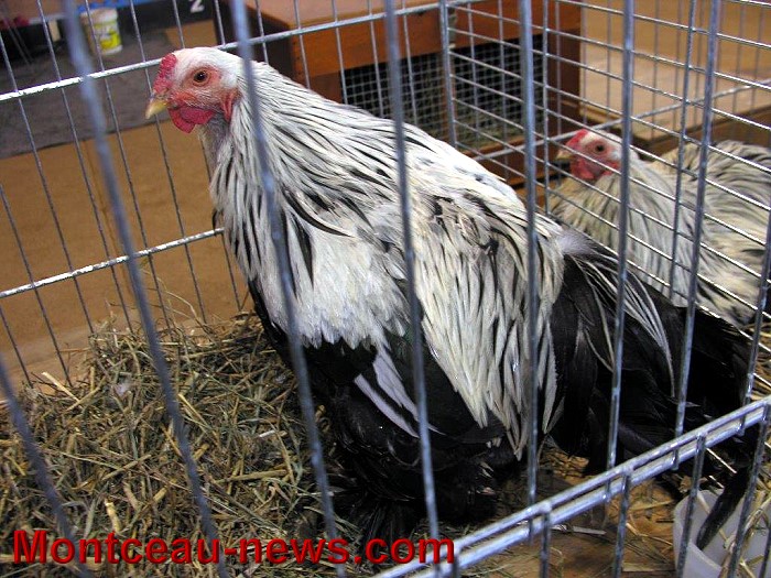 avic 08 11 145