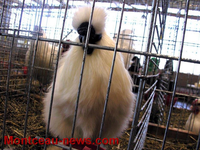 avic 08 11 148