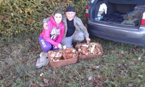 Mycologie (Bassin minier)