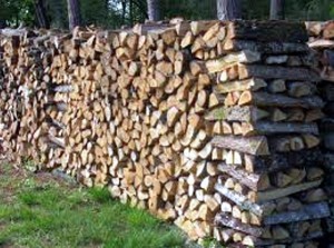 L&rsquo;hiver arrive : « Les Compagnons de l&rsquo;Environnement » (Sanvignes)