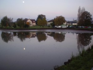 Etang du Bois Dernier (Bois d’Arrêt) à Saint-Bérain-sous-Sanvignes