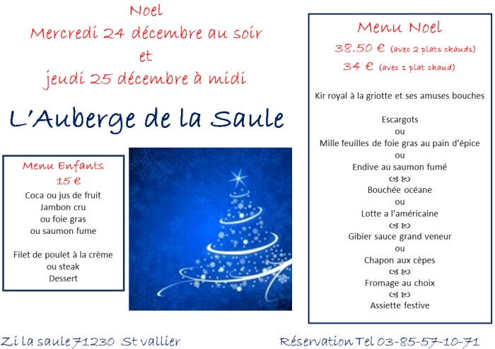 auberge saule noel 1012144