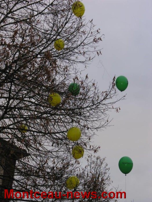 ecole oiseaux telethon 0612146