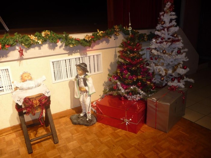 noel polonia 1012142