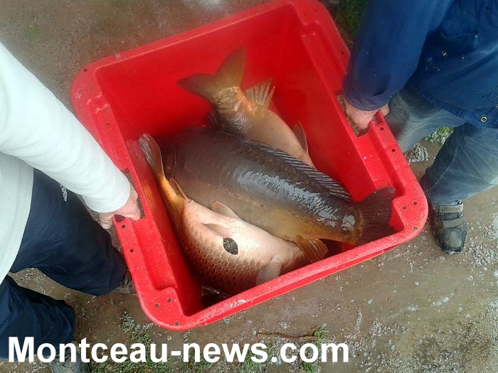 peche 26 12 141