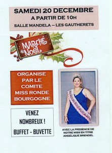 Comité Miss Ronde Bourgogne
