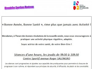 Hirondelles Sportives (Montceau-les-Mines)