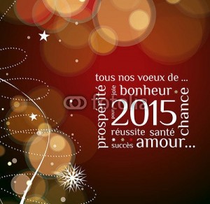 Voeux 2015
