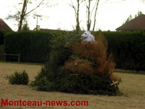Collecte de sapins à Montceau
