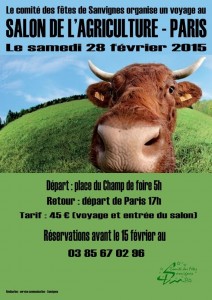 Comité des fêtes (Sanvignes-les-Mines)