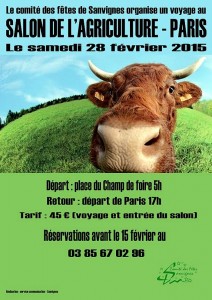 Comité des fêtes (Sanvignes-les-Mines)