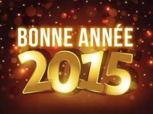 Meilleurs voeux 2015