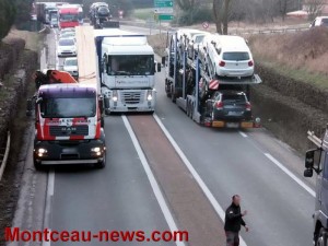Insolite