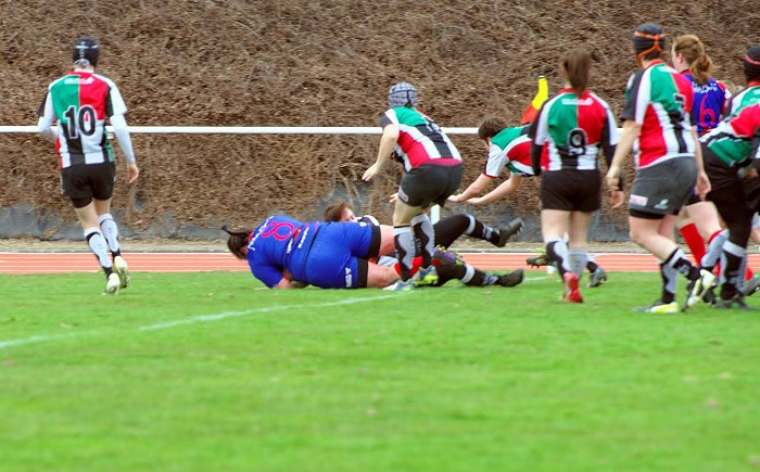 TIGRE 24 03 151