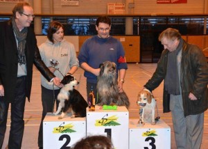 Club canin EAPS (Educ Agility Passion) de Sanvignes