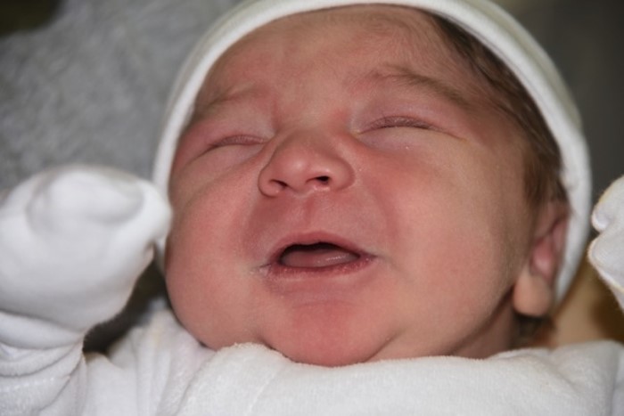 bebe andrea 1403154