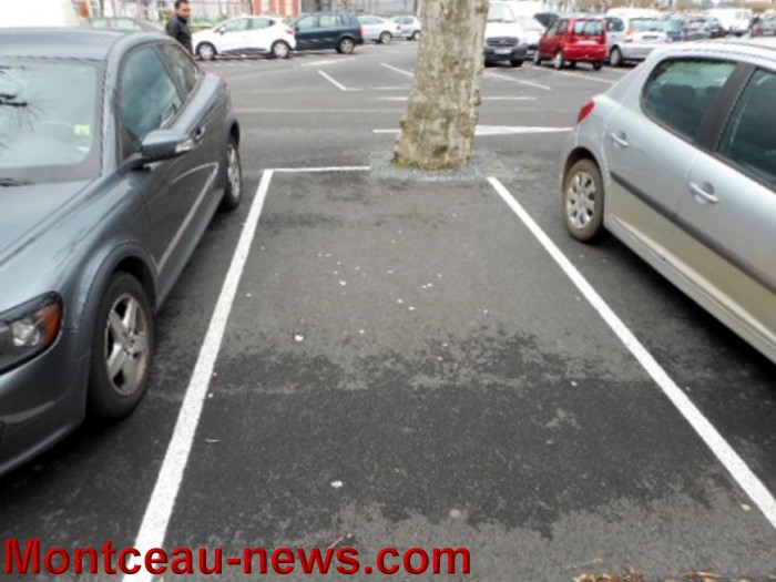 gilles d 0504153