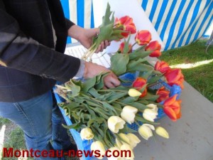 Tulipes contre le cancer 2021