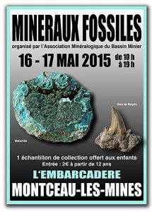 Association Minéralogique du Bassin minier