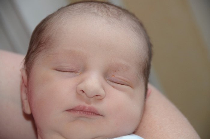 bebe jules 1005152