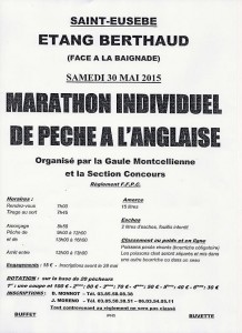 Gaule Montcellienne (Montceau-les-Mines))