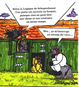 La pensée de la Joyeuse du lundi…