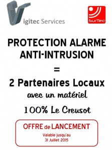 Vigitec Service